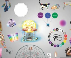 Mesa de CURA  ANIMAIS