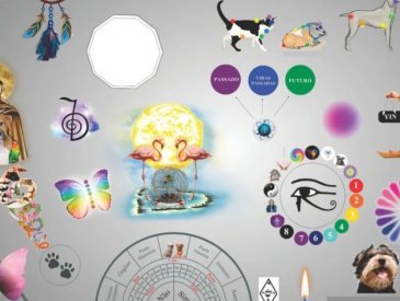 Mesa de CURA ANIMAIS